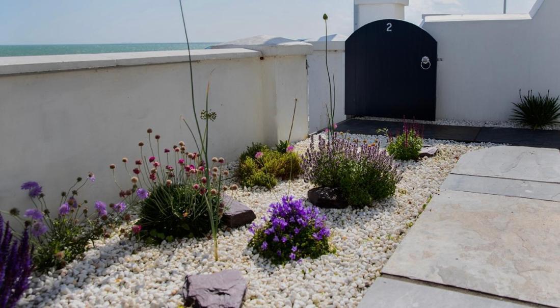 Beach View, 4 Bedroom House Opposite The Sea! Sleeps 10 Sandgate Zewnętrze zdjęcie